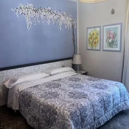 Tek Büyük veya İki Ayrı Yataklı Oda, Balkon