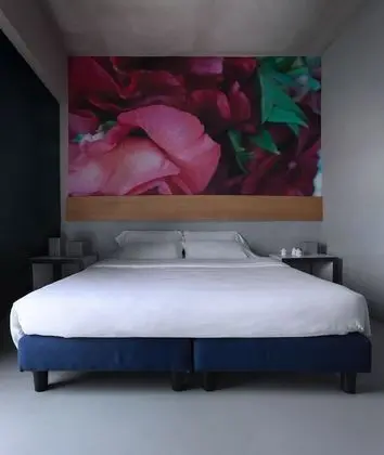 Deluxe Tek Büyük Yataklı Oda, Şehir Manzaralı