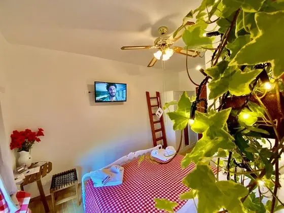 Romantic Tek Büyük Yataklı Oda