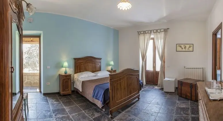 Traditional Tek Büyük Yataklı Oda, Bahçe Manzaralı