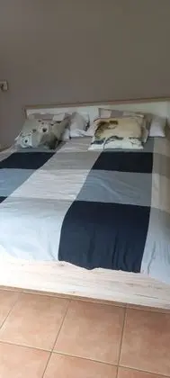 Classic Tek Büyük Yataklı Oda, 1 Büyük (Queen) Boy Yatak