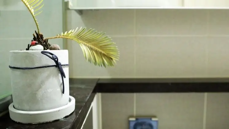 Family Oda (Foreigner Only)