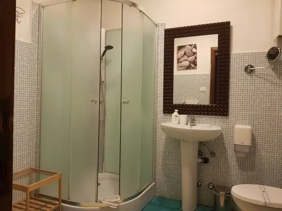 Standard Tek Büyük veya İki Ayrı Yataklı Oda, Banyolu/Duşlu