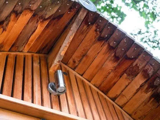 Luxury Kulübe, 1 Çift Kişilik Yatak (Armadilla)