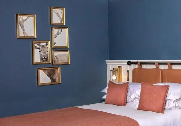 Contemporary Double Room