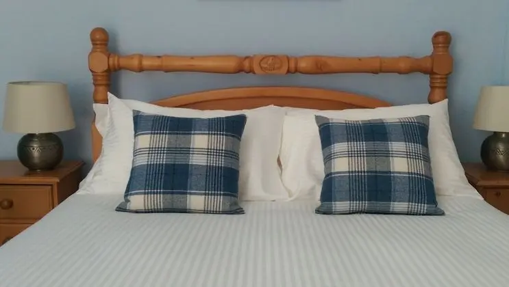 Deluxe Tek Büyük Yataklı Oda, Banyolu/Duşlu (The Kennedy Room)