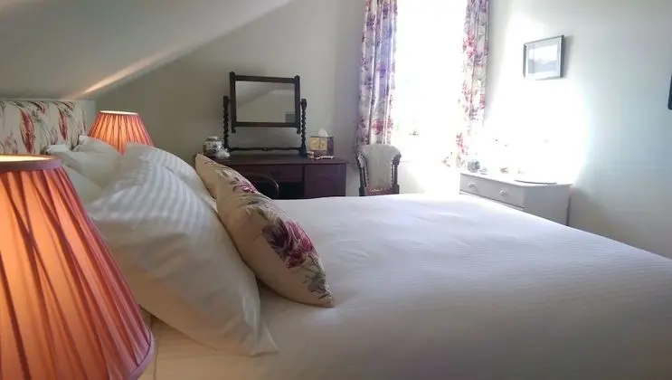 Premium Tek Büyük Yataklı Oda, Banyolu/Duşlu (The Bruce Room)
