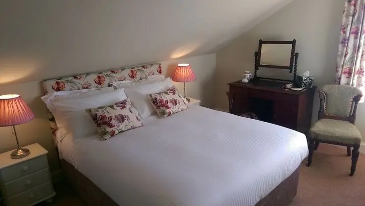 Premium Tek Büyük Yataklı Oda, Banyolu/Duşlu (The Bruce Room)