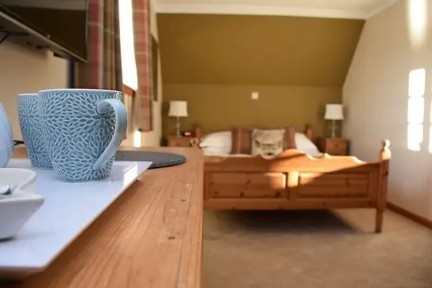 Deluxe Tek Büyük Yataklı Oda, Göl Manzaralı (Room 2)