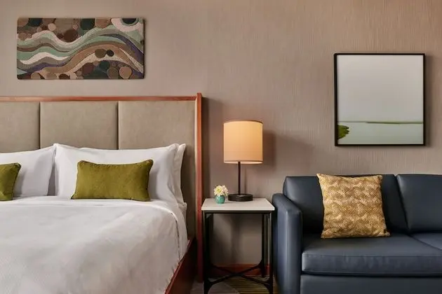 Deluxe Oda, 1 En Büyük (King) Boy Yatak ve Çekyat