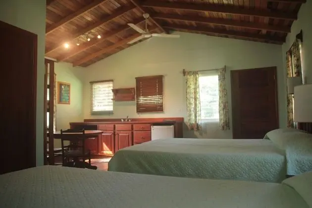Villa, Banyolu/Duşlu, Bahçe Manzaralı