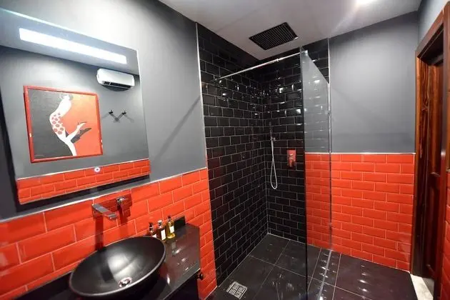 Tek Büyük Yataklı Oda, Sigara İçilmez, Özel Banyo (Nicolas 1663)