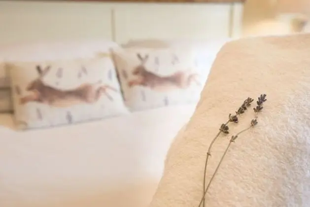 Luxury Tek Büyük Yataklı Oda (Hare)