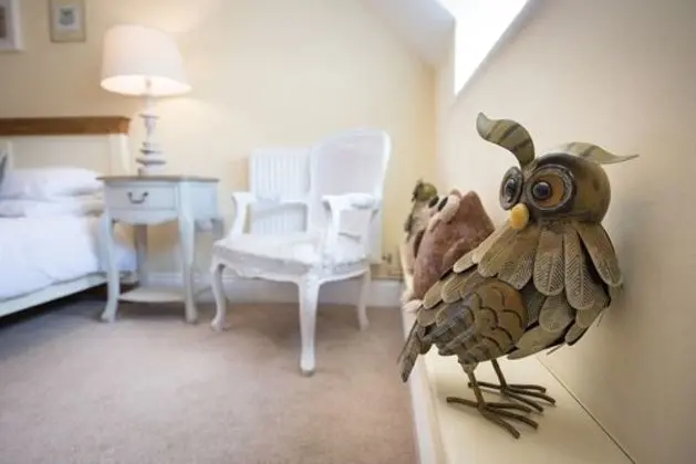 Standard Tek Büyük Yataklı Oda (Owl)