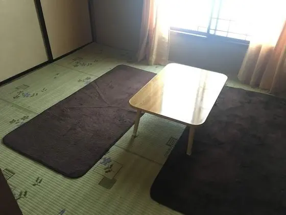 Traditional Üç Kişilik Oda, Ortak Banyo (Japanese Style)