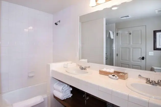 1 Bedroom Deluxe Suite