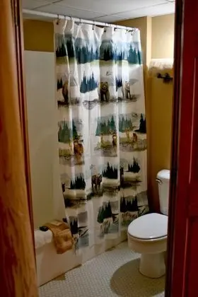 Tek Büyük Yataklı Oda, Banyolu/Duşlu (Alaska)