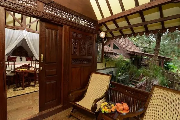 Executive Oda, Dağ Manzaralı, Dağ Yamacı