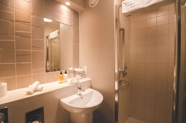 Superior Tek Büyük Yataklı Oda