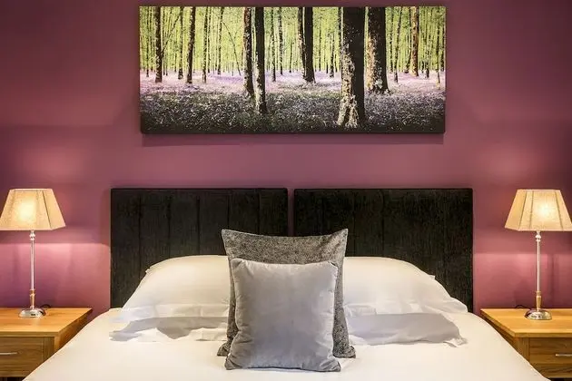 Luxury Tek Büyük Yataklı Oda, Banyolu/Duşlu (Lodge 2 - Dalesway)