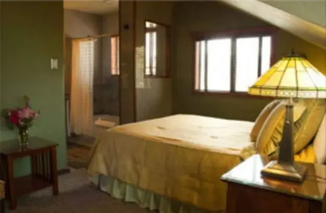 Standard Tek Büyük Yataklı Oda, Banyolu/Duşlu (Sky Dance Guest Room)