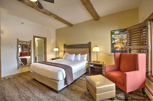 Mountain View 1 King Guestroom