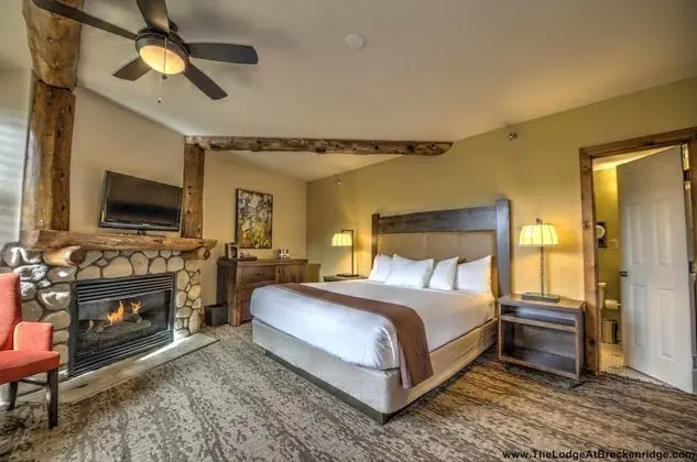 Mountain View 1 King Guestroom