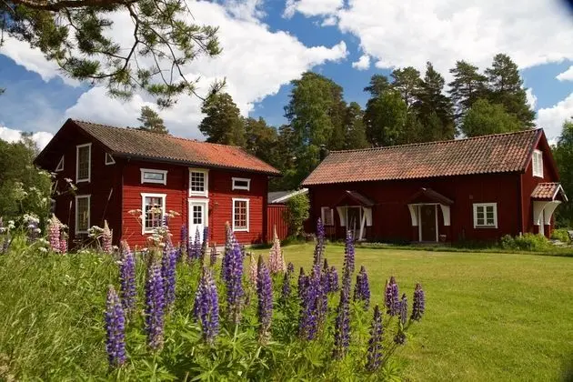 Comfort Tek Büyük Yataklı Oda, 1 En Büyük (King) Boy Yatak, Bahçe Manzaralı