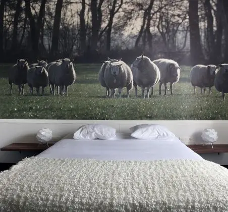 Comfort Tek Büyük veya İki Ayrı Yataklı Oda