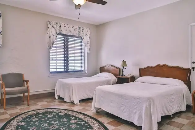 Traditional Tek Büyük Yataklı Oda, Birden Çok Yatak, Sigara İçilmez