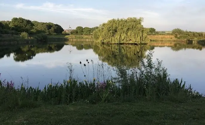 Kulübe, Birden Çok Yatak