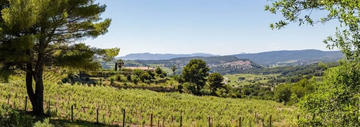 Dubleks, Özel Banyo, Üzüm Asması Manzaralı (Loft Mezzanine)