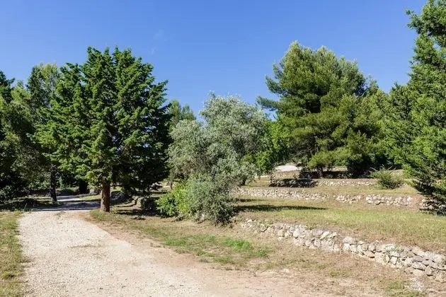 Family Ev, Banyolu/Duşlu, Üzüm Asması Manzaralı