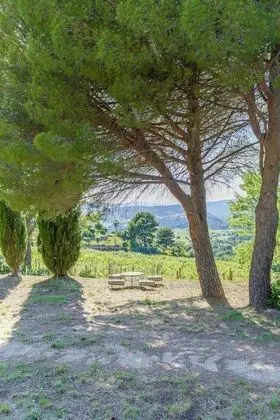 Family Ev, Banyolu/Duşlu, Üzüm Asması Manzaralı