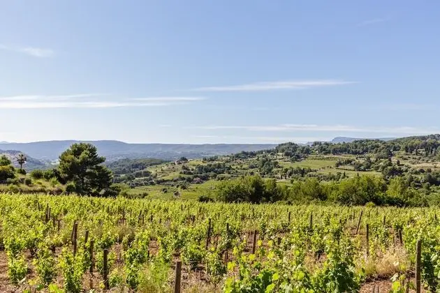 Family Ev, Banyolu/Duşlu, Üzüm Asması Manzaralı