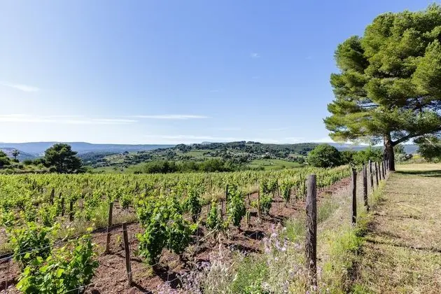 Family Ev, Banyolu/Duşlu, Üzüm Asması Manzaralı