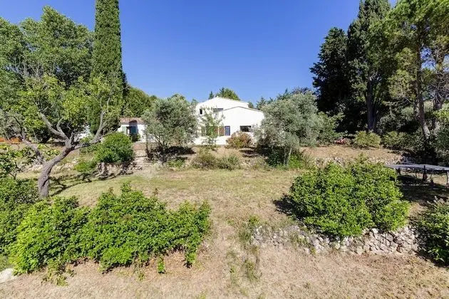 Family Ev, Banyolu/Duşlu, Üzüm Asması Manzaralı