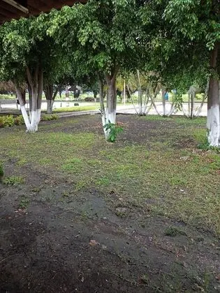 Ortak Ranzalı Oda, 1 Yatak Odası, Sigara İçilebilir, Veranda