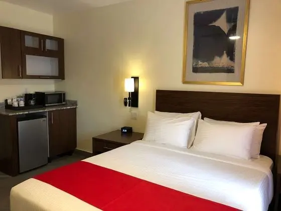 Standard Oda, 1 Büyük (Queen) Boy Yatak, Sigara İçilmez (Walk-in Shower;with Sofabed)