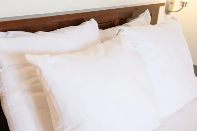 Standard Oda, 1 Büyük (Queen) Boy Yatak, Sigara İçilmez (Walk-in Shower;with Sofabed)