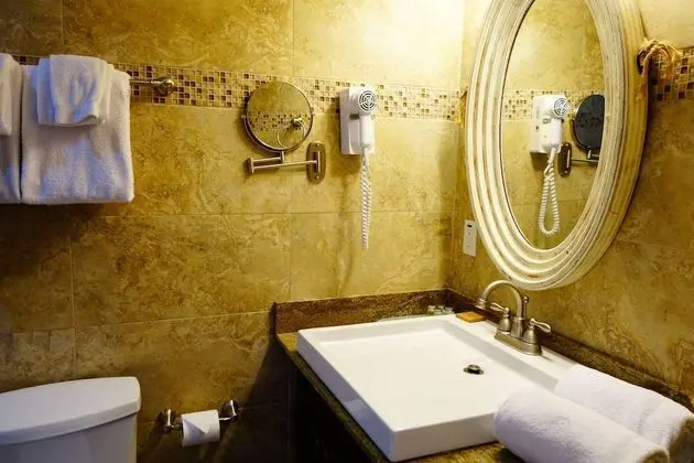 Standard Oda, 1 Büyük (Queen) Boy Yatak, Sigara İçilmez (Walk-in Shower;with Sofabed)