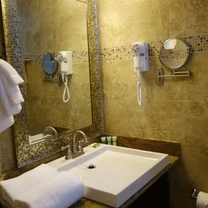 Standard Oda, 1 Büyük (Queen) Boy Yatak, Sigara İçilmez (Walk-in Shower;with Sofabed)