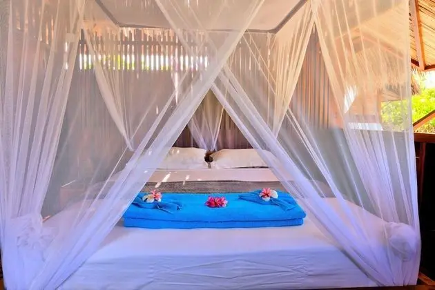 Deluxe Bungalov, 1 Büyük (Queen) Boy Yatak, Havuz Manzaralı, Bahçeli