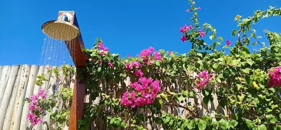 Deluxe Bungalov, 1 Büyük (Queen) Boy Yatak, Havuz Manzaralı, Bahçeli