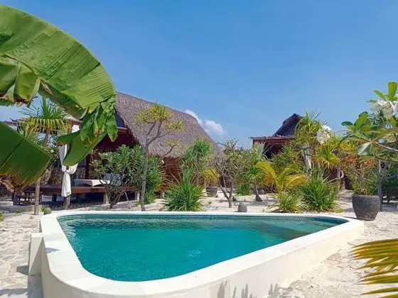 Deluxe Bungalov, 1 Büyük (Queen) Boy Yatak, Havuz Manzaralı, Bahçeli