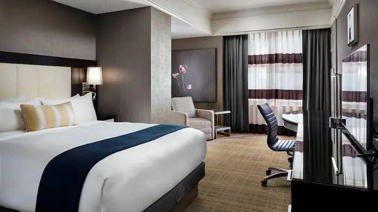 Deluxe Oda, 1 En Büyük (King) Boy Yatak, Engellilere Uygun