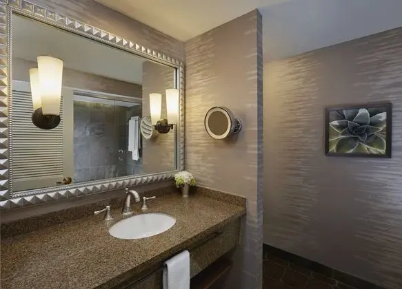 Luxury Oda, 1 En Büyük (King) Boy Yatak, Engellilere Uygun (Roll-in Shower, Skyline/Mountain View)