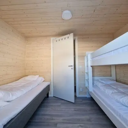 Süit