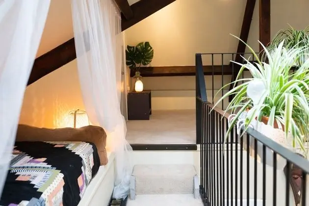 Business Çatı Katı (Loft)