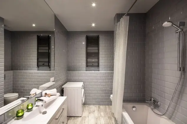 Çatı Katı (Loft), 1 Yatak Odası